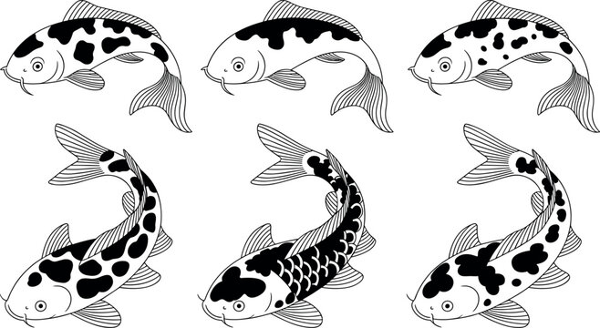 Japanese koi fish vector outline illustration set with traditional spotted carp swimming patterns isolated on white