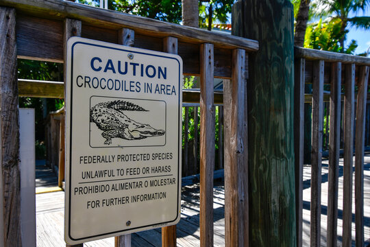 Caution crocodiles in area warning sign attached to a dock near Key West in the Florida Keys. 