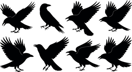 Fototapeta premium Raven silhouette vector set black crow flying and perched bird shape illustrations for spooky designRaven silhouette vector set black crow flying and perched bird shape illustrations for spooky design