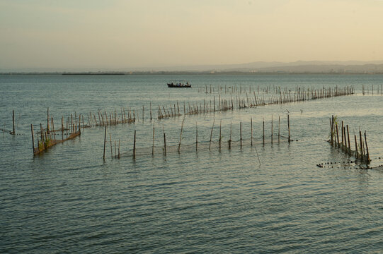 Traditional landscape in the Albufera lagoon in Valencia, Spain, surrounded by wooden fishing nets at sunset. Peaceful wetland landscape showcasing local heritage nad natural beauty