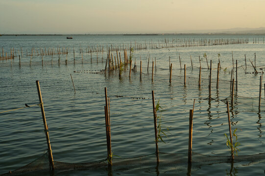 Traditional landscape in the Albufera lagoon in Valencia, Spain, surrounded by wooden fishing nets at sunset. Peaceful wetland landscape showcasing local heritage nad natural beauty
