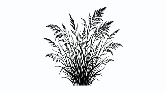 CAD tree lines Tree Black tree silhouette Black grass Black pampas grass silhouette vector, hand drawn botanical reed illustration, wild meadow grass bush on white background Vector