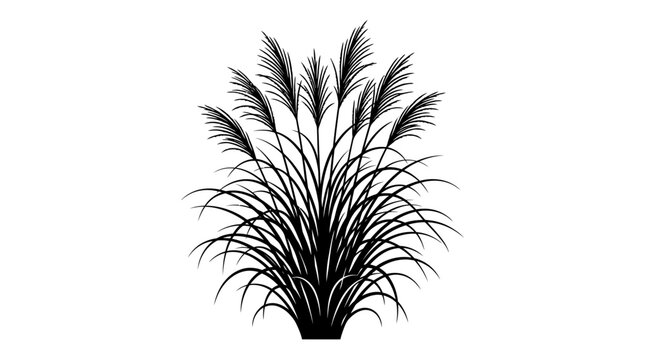 CAD tree lines Tree Black tree silhouette Black grass Pampas grass black silhouette vector, ornamental feather grass plant illustration, botanical reed and wild meadow foliage element for