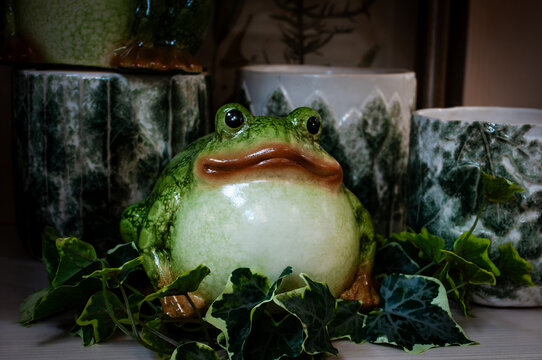 Funny frog in the garden,looks very important person.