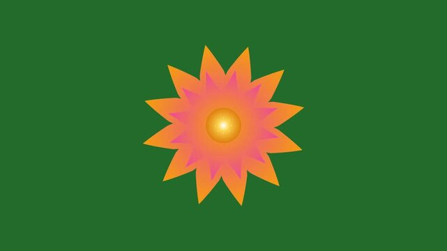 Green and Orange Flower on Green Screen Background Horizontal 16-9