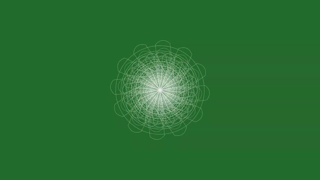 Green and White Flower on Green Screen Background Horizontal 16-9