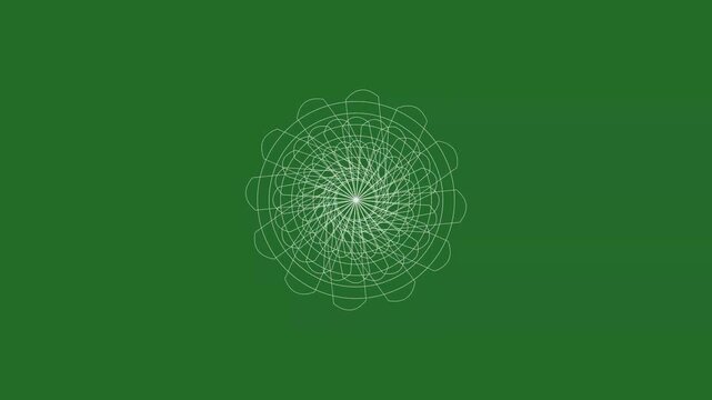 Green and White Flower on Green Screen Background Horizontal 16-9