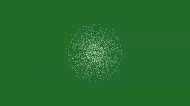 Green and White Flower on Green Screen Background Horizontal 16-9