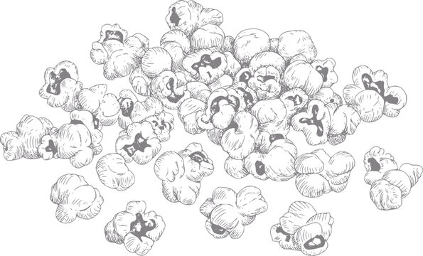 Un dibujo a mano detallado de un mont&oacute;n de deliciosas palomitas de ma&iacute;z crujientes aisladas sobre fondo blanco