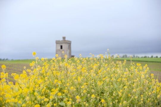 The Napoleonic Lookout Tower stands on the Ardmore Headland,  Co Waterford, Ireland 

Built circa 1804&ndash;1806, this tower was part of a coastal warning chain that used flags and semaphores. 
