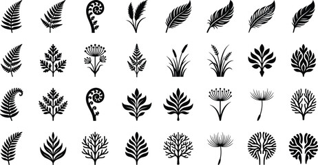 Fototapeta premium Collection of botanical foliage, ferns, and wild grass silhouettes for nature-inspired design