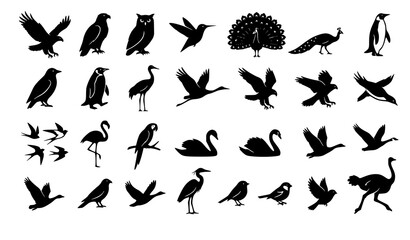 Obraz premium Avian Wildlife Bird Silhouette Collection Featuring Flying Eagle Owl Peacock Penguin Swan Flamingo and Ostrich Graphics for Nature Zoology Vector Pattern Design Assets