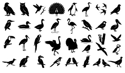 Global Avian Species Silhouette Mega Bundle Featuring Eagle Owl Peacock Penguin Turkey and Flamingo Icons for Nature Zoology and Ornithology Graphic Layouts © Mira