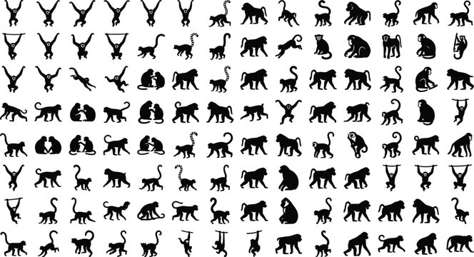 Comprehensive set of black monkey silhouettes and primate icons in different poses for design projects