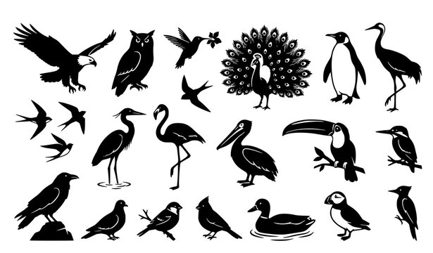 Wild Bird Silhouette Icon Collection Featuring Flying Eagle Owl Peacock Penguin Flamingo and Toucan Shapes for Avian Biology Zoology and Nature Conservation Graphics