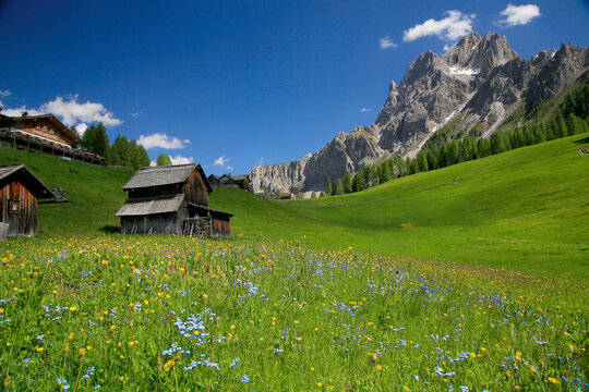 Rotwandwiesen mit Almh&uuml;tten im Sommer, Sextener Dolomiten, Italien, Europa 