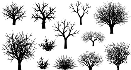 Vector silhouette collection of bare winter trees dead bushes and thorny shrubs for spooky nature design © Jahanara