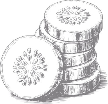 Dibujo a mano de una pila de rodajas de pepino frescas aisladas sobre fondo blanco para comida