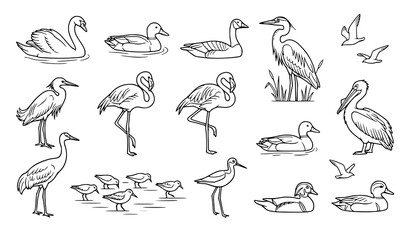 Obraz premium Waterfowl and Coastal Seabird Line Art Icon Collection Featuring Duck Swan Flamingo Pelican Heron and Flying Seagulls for Marine Biology Layouts and Nature Fabric Designs