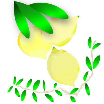 ~ai-6e5f7215-67c2-4768-a670-fcbe782f8c03_