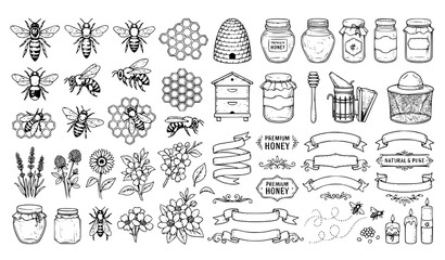 Honey Bee and Honey Jar Outline Vector Set with Botanical Elements for Organic Packaging and Labels © MdShojib