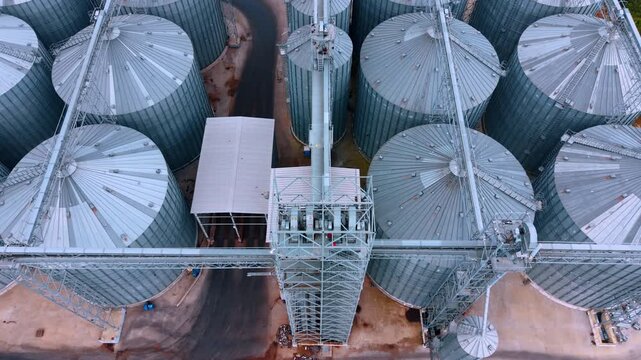 Grain silos arranged around central conveyor tower. Vertical drone view of circular metal roofs, enclosed galleries, ladders and paved lanes between storage bins.