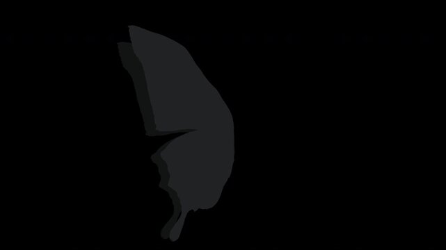 Looping black butterfly flying in side view with alpha channel