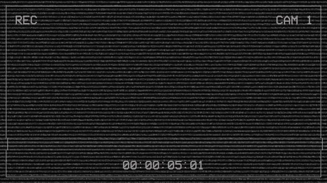 Retro cctv screen recording overlay with analog noise and scanlines