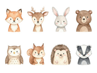 Naklejka premium Adorable woodland animal clipart set featuring forest creatures and nature elements
