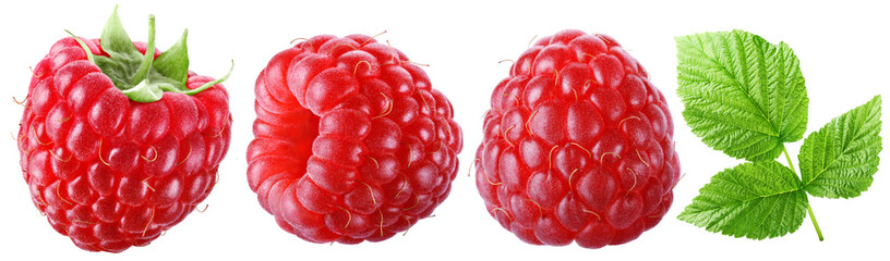 Trio of juicy ripe raspberries with leaves isolated on transparent background. © Vasilii