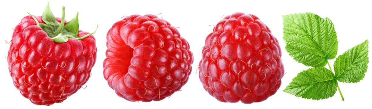 Trio of juicy ripe raspberries with leaves isolated on transparent background.