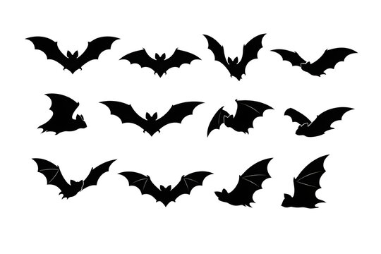 Flock of bats flying in night sky silhouette