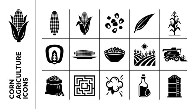 Black maize and farming silhouette collection with cobs, seeds, harvester, field, and silo vector graphics for professional agricultural designs