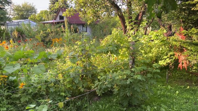 Polska wieś 100 % eko, natura, spok&oacute;j miłość, przyjaźń 