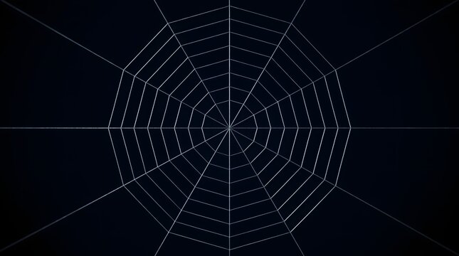 A detailed symmetrical spider web design isolated on dark background
