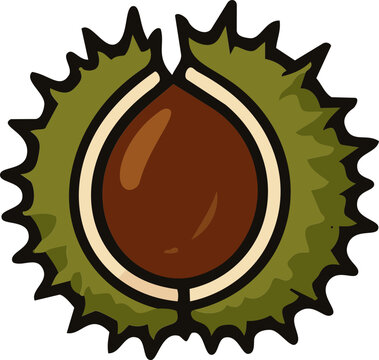 Cartoon illustration of a ripe brown chestnut inside its spiky green husk.