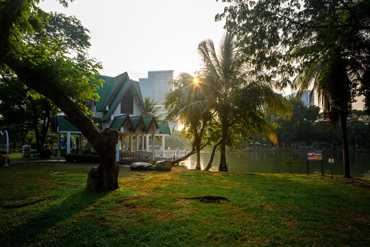 Wild monitor lizard on a green grass field in Lumphini Park during a beautiful sunny morning in Bangkok