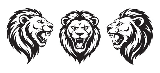Lion heads display aggressive expressions in this detailed black and white set. © Shahid3383