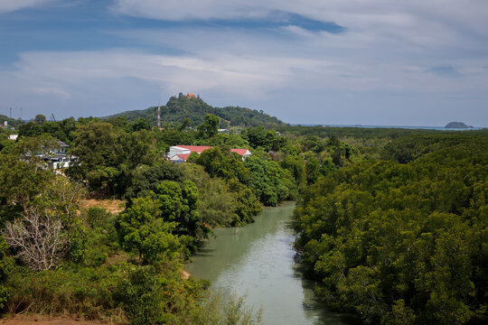 Tropical river flowing through dense green jungle and mangrove forest under blue sky