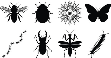 WebCollection of black insect silhouettes including bee ladybug spider butterfly ants beetle mantis and centipede on white background © Tahera