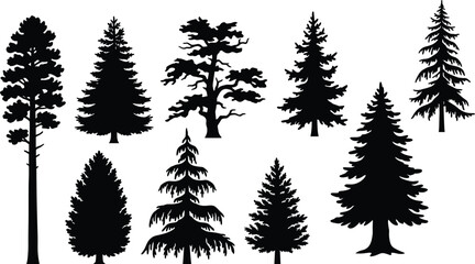 Fototapeta premium Collection of Evergreen Tree Silhouettes Isolated on White Background for Forest Landscape and Nature Vector Design