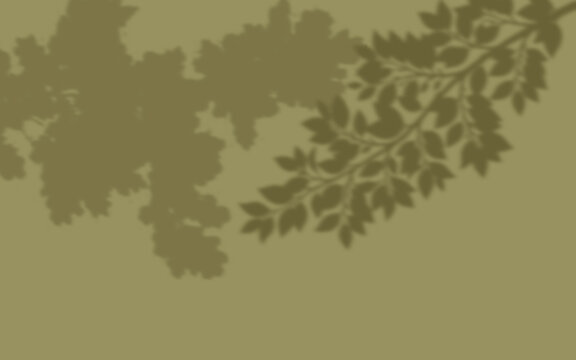 Tree branch and leaves shadow overlay effect cast on a light olive green wall background for aesthetic presentation.