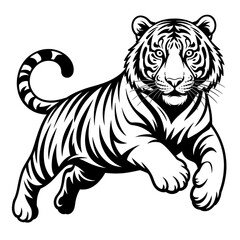Obraz premium Black and white tiger illustration jumping isolated on white background
