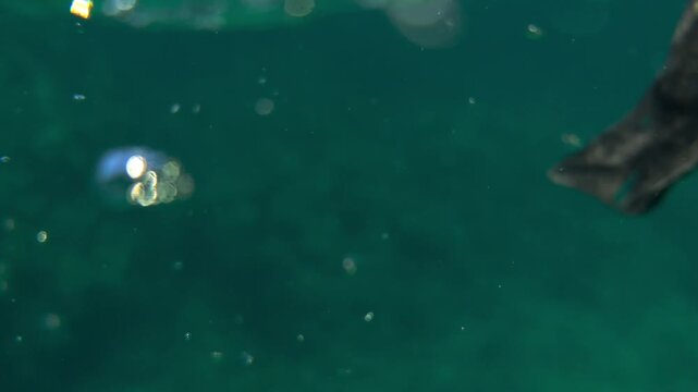 Breathtaking underwater cinematic shot of strong vertical midday sun rays piercing through crystal clear blue ocean water with a school of fish swimming by, Okinawa. (4K)