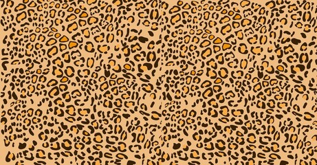 Classic leopard print seamless pattern © Saadet