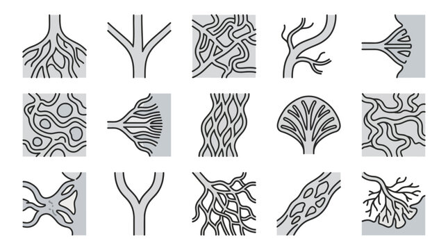 Abstract organic root and branch network line patterns.
