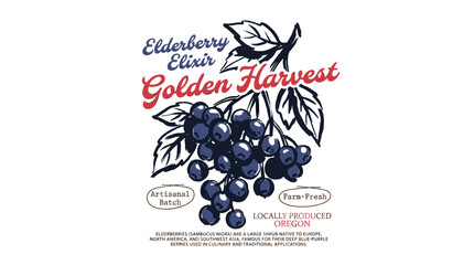 Eat well live well. Elderberry local farm. Organic berry farm. Elderberry fruit artwork. Golden harvest vintage design. © panji