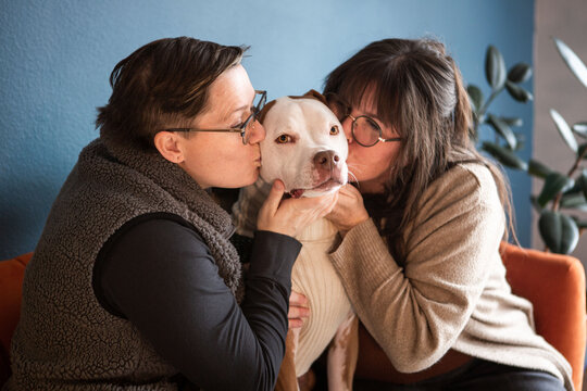 LGBTQIA Couple with Cute Pit Bull
