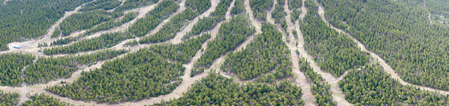 Seen from the sky during summer, ski trails meander through the forest on the slopes of Mt. Bachelor, Oregon. This iconic volcanic mountain is part of the Cascade Range and just 22 miles from Bend.