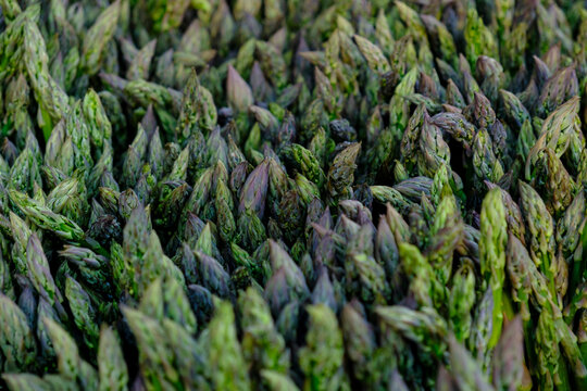 Fresh asparagus stalks